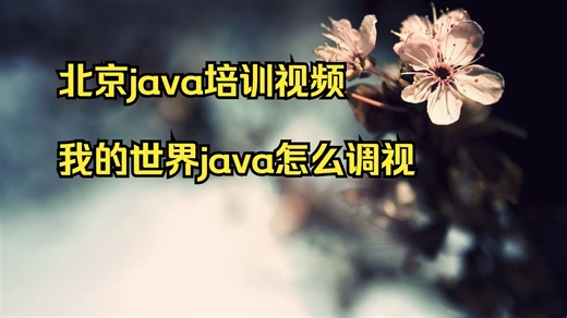 北京java培训视频 我的世界java怎么调视频设置 java职