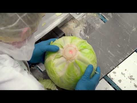 Coal trunk coring system from Zentrik for Kühlmann with conveyor belts from Forbo Movement Systems