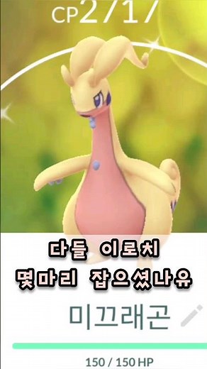 미끄메라 커뮤 정산! 번개펀치 미끄래곤 만들고 이로치도 진화시켜보자! (포켓몬고, 포고)
