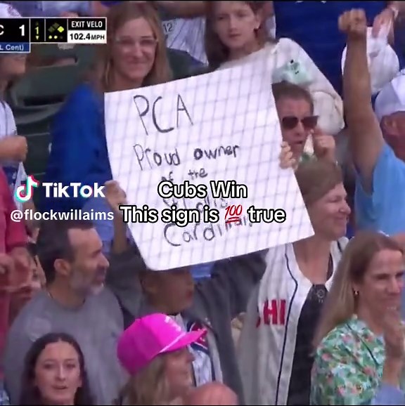 Cubs Win: Celebrating a Historic Victory