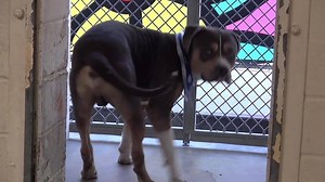 4.1K views · 249 reactions | RESCUED - moved to SAFE Album on 06/20...