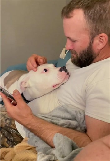 When you dog wants attention. #dog #foryou #fyp #funnydog #funny #cutedog