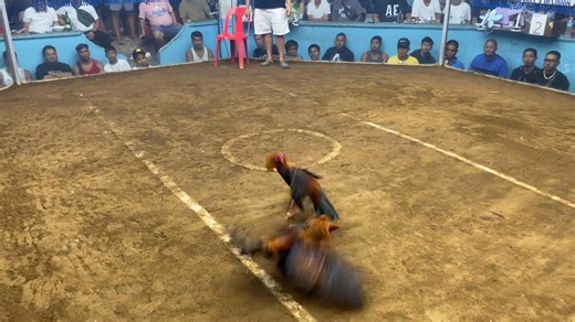 1K views | Max Andrew Mercado on Reels | Facebook