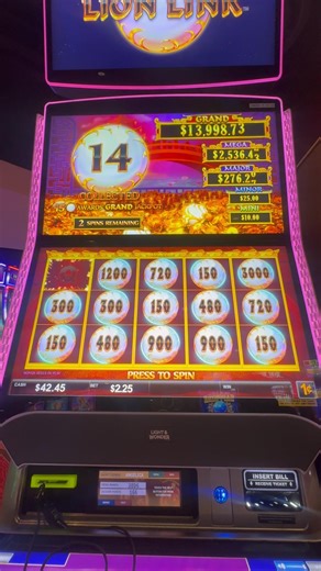 Lion Link #luckyeaglecasino #kickapoo #luckyeagletx #casinolife #casinogames