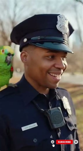 Parrot Pranks Police Officer – Hilarious Park Chaos! #FunnyParrot #PoliceFail #AnimalComedy