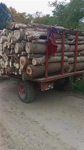 173K views · 938 reactions | Dusan Gajinov on Reels | Facebook