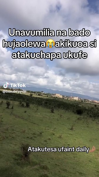 Old School Bongo Music for Fun and Laughter