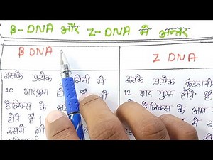 Difference between Beta DNA and Z DNA | What is Beta DNA | What is Z DNA | Class 12 Biology | Bio...