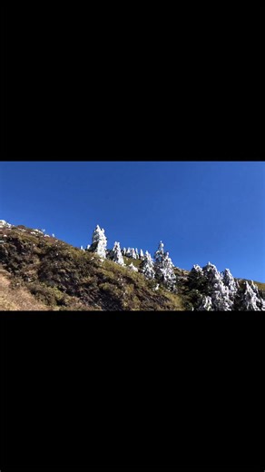 回顧2021年1月14日當時這波寒流非常強，在合歡山竟然也能看見到奇特的樹冰景象 | Keyboard桑日本旅遊達人吳建盤