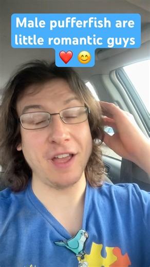 Male pufferfish are little romantic guys ❤️ 😊 #fypシ #fypシ゚viral #fyp #fy #facts #animals #fish