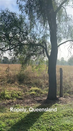 Exploring the Queensland Outback: A Tour Guide