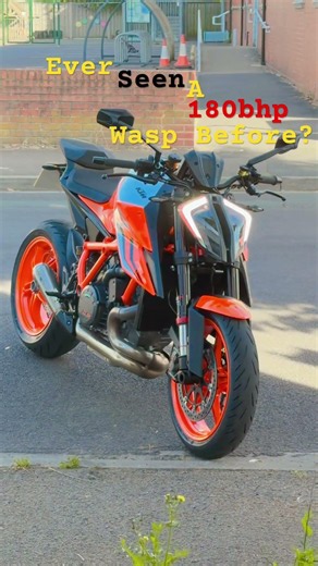 Power Wasp (Mega Hornet)