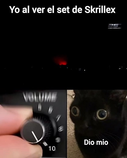 Daniel Kun | #skrillex #ultramusicfestival #owsla #skrillexisdead #dubstep #edm #edmfamily #newmusic #newera #tendencia | Instagram