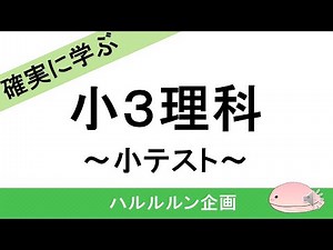 小３理科 小テスト
