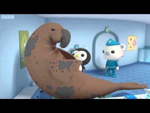 Octonauts Series 1 39 The Enormous Elephant Seal flashhigh