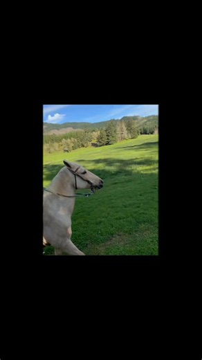 Whenever there was a horse that couldn’t be rode there was a cowgirl that couldn’t be thrown