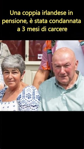 Gatto chiuso in un sacchetto, abbandonato al lago #gatto #gattosalvato #gattirandagi #gatta #gatti