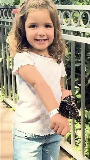 BUTTERFLY CATCHiNG with NAVEY 🦋 Naveys Best Bug Day Ever while Adley Niko Mom & Dad visit Vidsummit