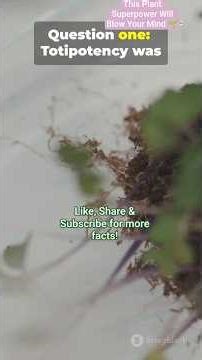 Totipotency in Plants | Plant Tissue Culture |Biotic world #shortsfeed #merrychristmas