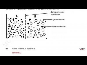 form one biology ( part 2 ) | form one biology questions and answers | form one biology exam