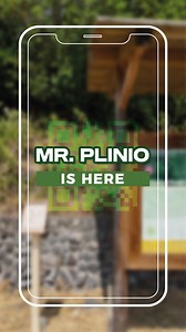 1.9K views · 19 reactions | Il Parco Nazionale del Vesuvio compie un...