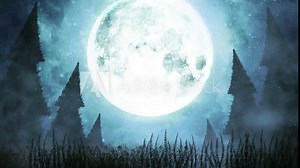 A creepy forest with a full moon and dead trees