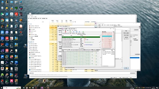 16.windows驱动内核安全-windows DebugVT调试XF下段搜索数值