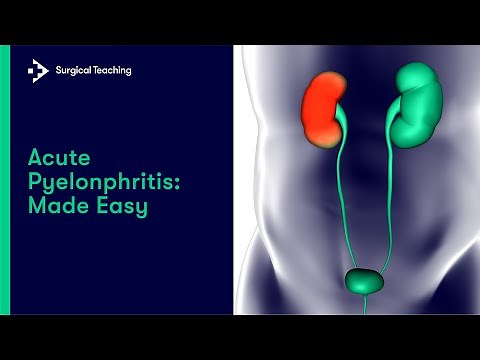 Acute Pyelonphritis | All you need to know