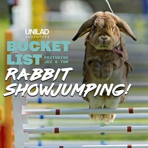 Rabbit show jumping might be the cutest sport in the world 😍 We decided to see if we have what it takes to compete with the best rabbits in town 🐰 | UNILAD Adventure
