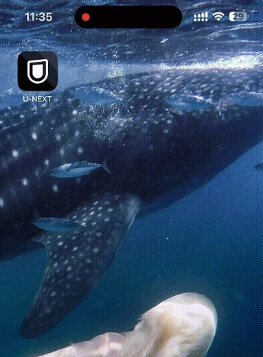 【2026年検証】U-NEXTを録画する方法を徹底解説｜画面が真っ黒になる原因と対処法