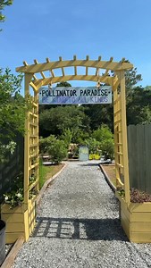 Remember to check out the Pollinator Paradise while you’re here and ask us how to turn your garden into a Pollinator Paradise too! | Dothan Nurseries Greenhouse, Gardens, and Gifts