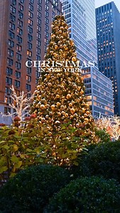 📍 Christmas in New York City 🎄🗽 New York turns into a giant holiday playground filled with lights, music, and the warm buzz of the season. If you dream of spending Christmas here one day, this is your sign. From the glow of the Rockefeller Center Tree to the sparkling displays along Fifth Avenue, every corner feels alive with holiday cheer. You can explore iconic spots like Bryant Park Winter Village, Radio City Music Hall, Central Park, and the Lotte Palace Tree without spending a dollar. Fi