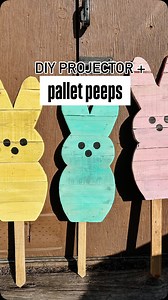 29 reactions · 45 comments | One of my most viral projects > DIY...