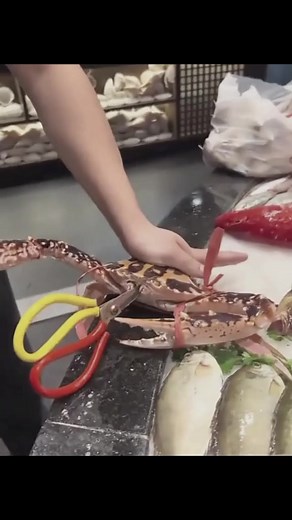 Sad Crab's Tragic Encounter