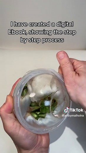 artbymalhotra on TikTok