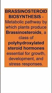 Brassinosteroid Biosynthesis I 1 Minute Science Concept