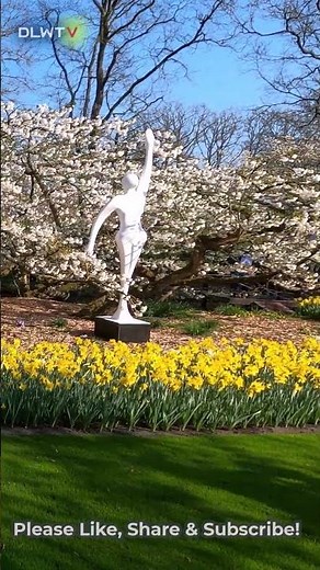 Keukenhof’s Magical Two-Layer Spring Scene 🌸✨