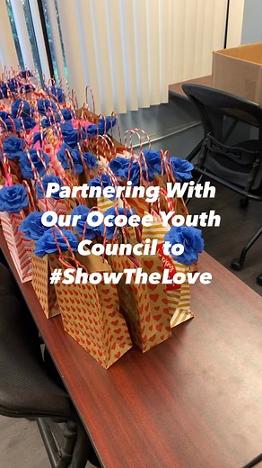 Ocoee Police Department on Reels