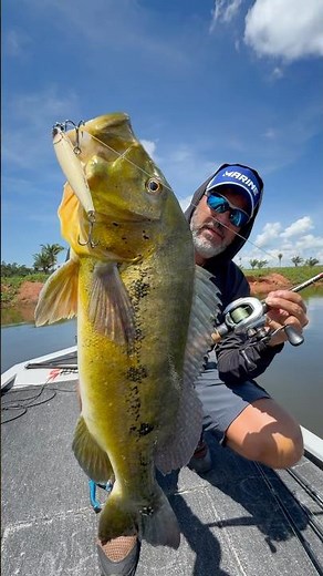 FEITA PARA PEIXES MONSTROS!Carretilha LEGACY! #pescaria #johnnyhoffmannoficial #pescaesportiva