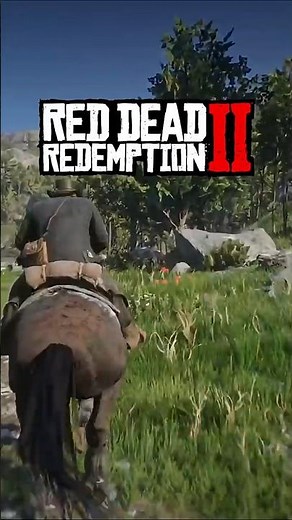 RDR2 UFO ENCOUNTER LOCATION #1