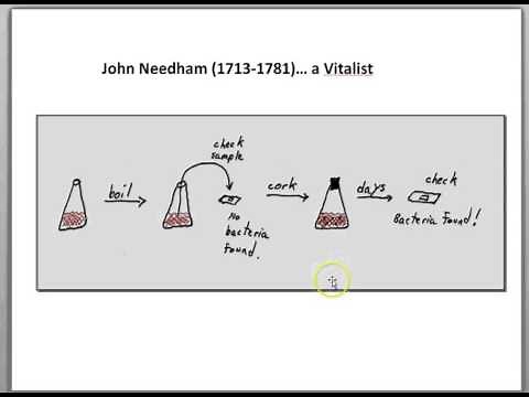 Spontaneous generation of bacteria... Needham and Spallanzani