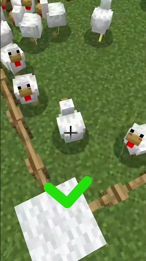 2 pro animal tips 😎