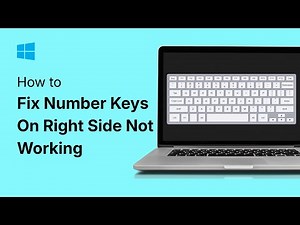 How To Fix Number Keys On Right Side Not Working