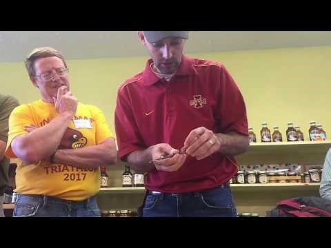 Chip Budding Demonstration