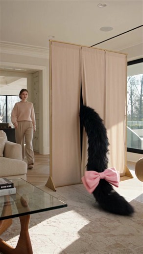The Kitten That Wandered Into the Wolf's Den
