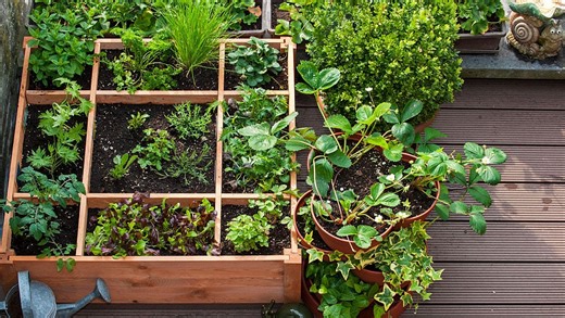 Gardening Tips - Landscaping and Garden Ideas