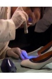 Watch Forensic Factor Season 7 Episode 1 - Million Dollar Murder