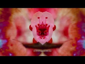 SLEEP AWAKE [DEMO] – Hopeless, Breathless, Unending | German Subtitles