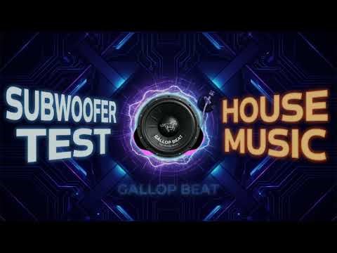 Subwoofer Test 🔊 House Music 🎶 Deep Sub Bass