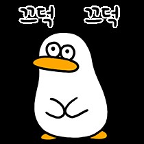 인기글에 너구리 글 많이 보이길래 쓰는 너구리 과거
